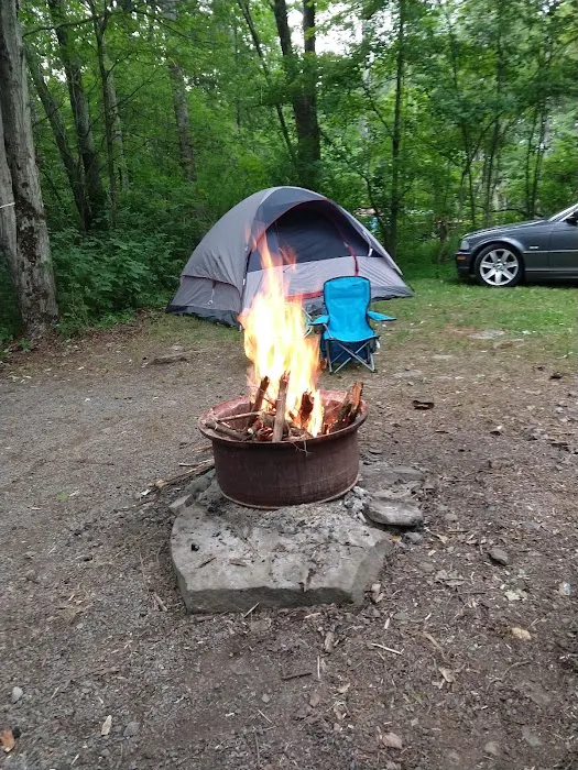 Shore Forest Campground Picture 8