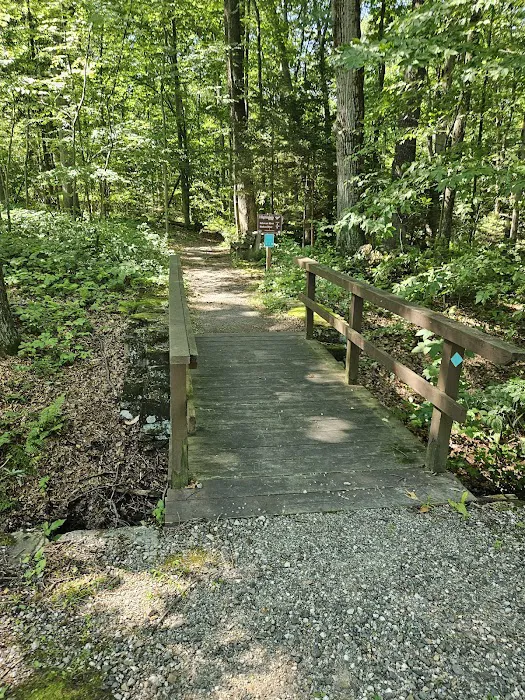 Voorhees State Park Campground Picture 4
