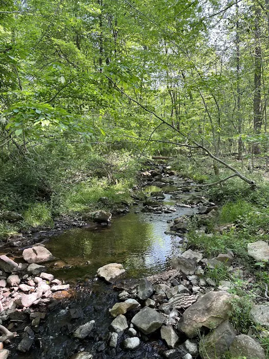 Voorhees State Park Picture 3
