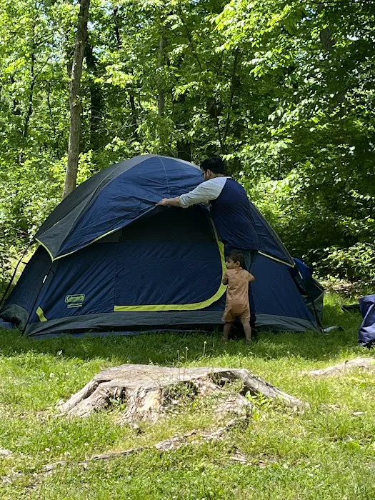 Voorhees State Park Picture 2