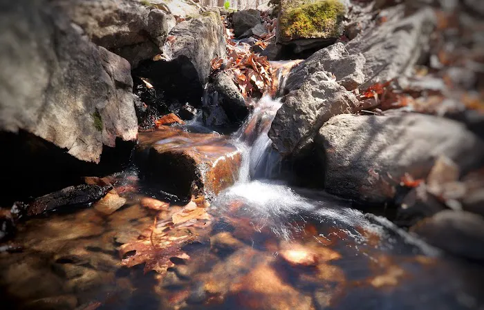 Voorhees State Park Picture 1