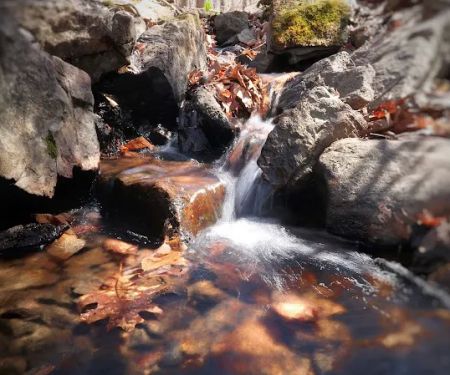 Voorhees State Park