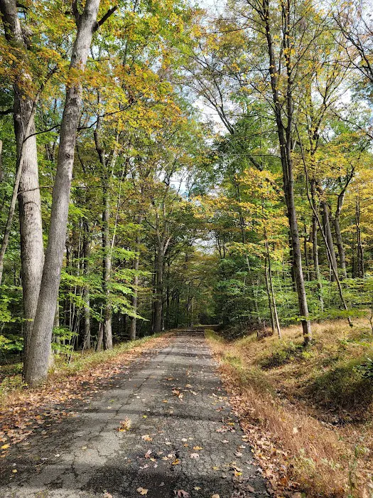 Voorhees State Park Picture 4