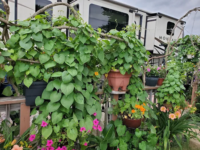 Pocono Vacation Park Picture 10