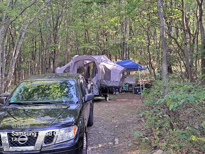 Peaceful Woodlands Family Campground Picture 9