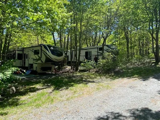 Peaceful Woodlands Family Campground Picture 5