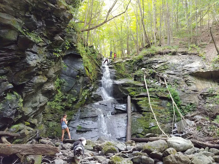 Camp Charles Campgrounds Picture 10
