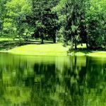 Hickory Lake Campground