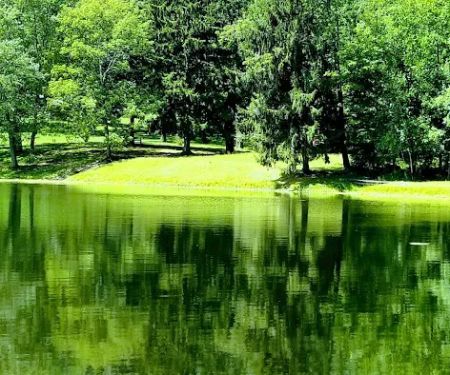 Hickory Lake Campground