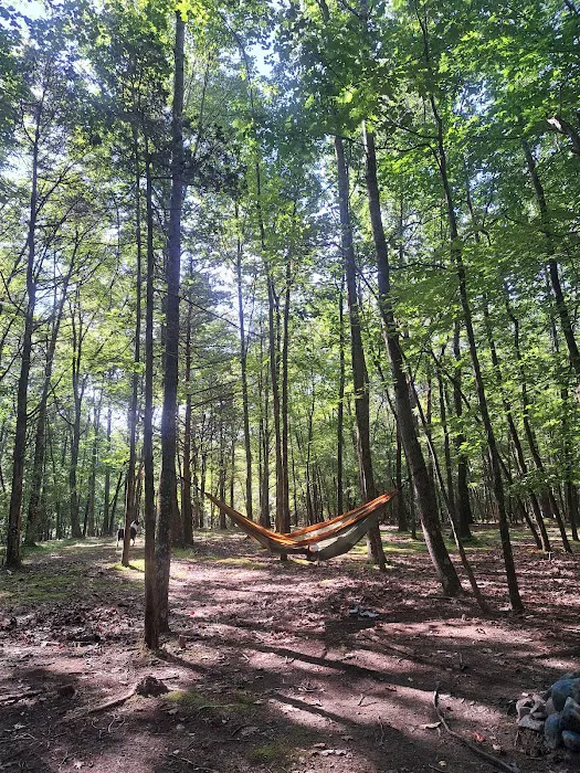 Hickory Lake Campground Picture 6