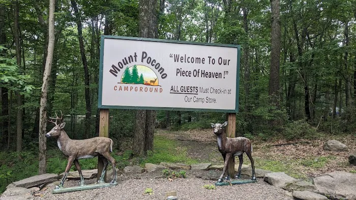 Mount Pocono Campground Picture 6