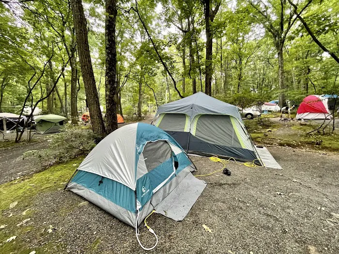 Mount Pocono Campground Picture 3