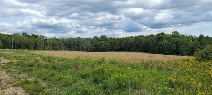 The Hills at Windsor Picture 4