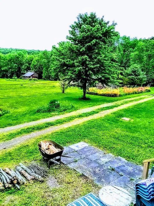 White's Mobile Home Park & Campground, LLC Picture 5