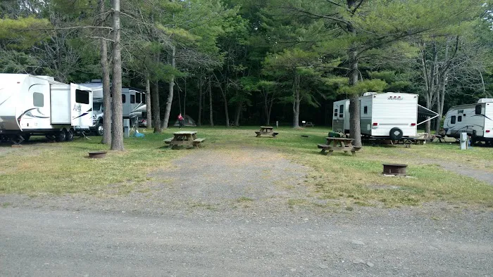 Back-Achers Campsite Picture 6