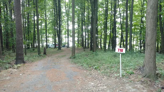 Back-Achers Campsite Picture 10