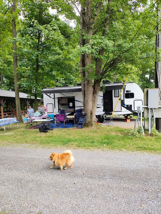 Sned-Acres Family Campground Picture 7