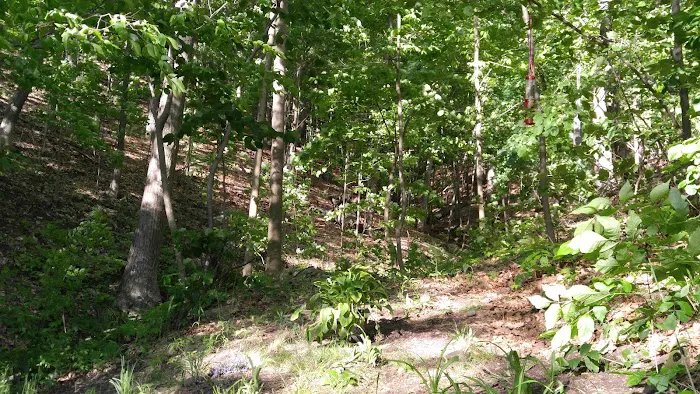 Conesus Lake Campsite Picture 3