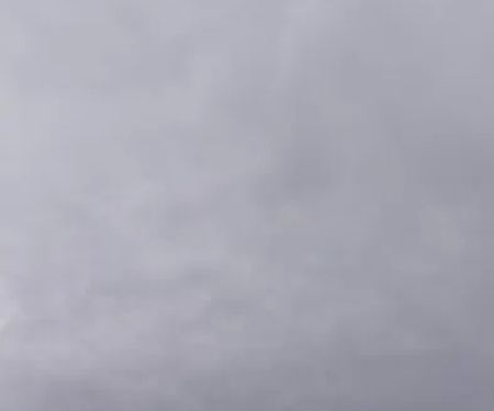 Coyote Run