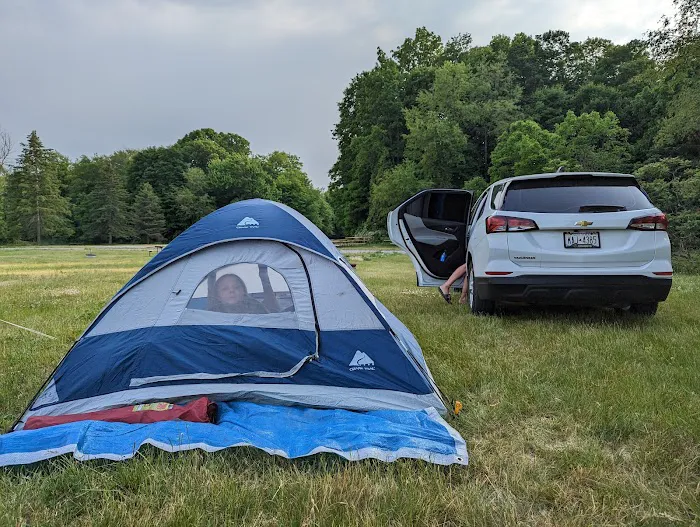 Big Guys Campground Picture 4