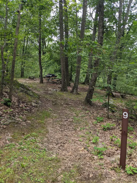 Campground#9 Picture 6