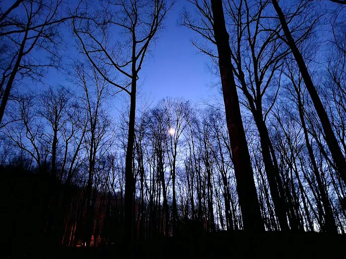 Jenny Jump State Park Camping Picture 7