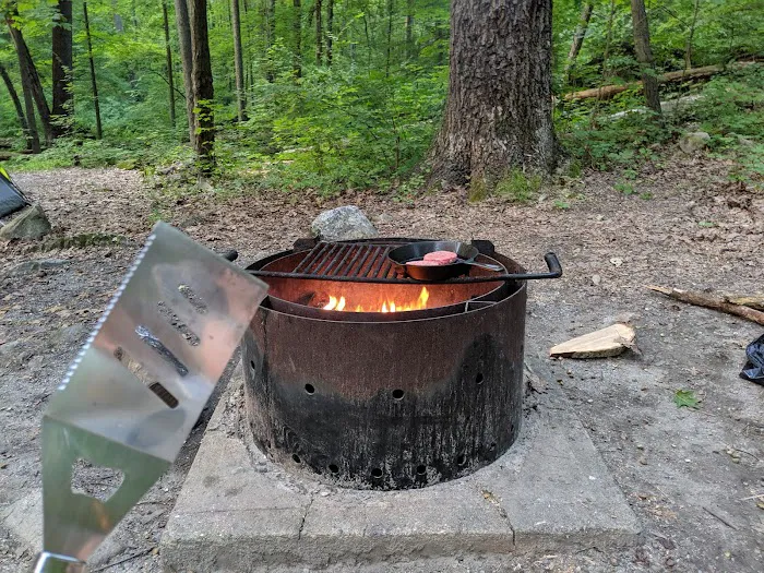 Jenny Jump State Park Camping Picture 2
