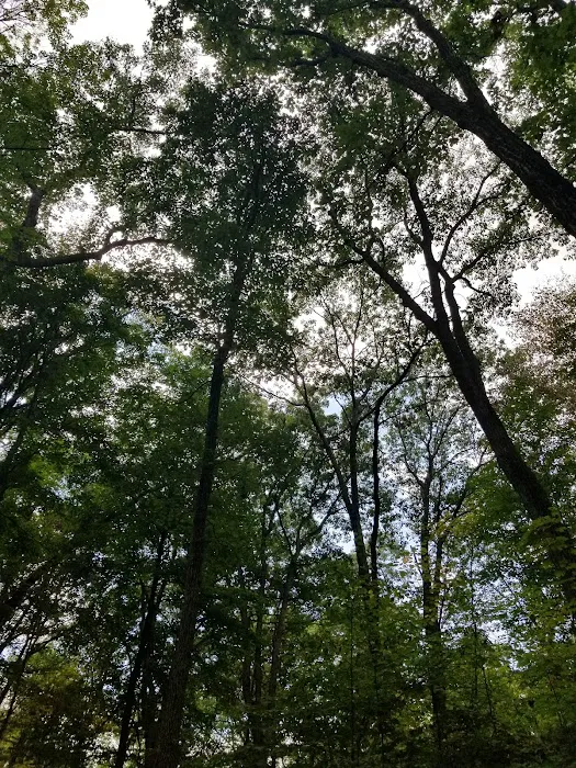 Jenny Jump State Park Camping Picture 9