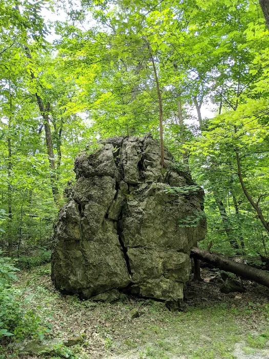 Jenny Jump State Park Camping Picture 4