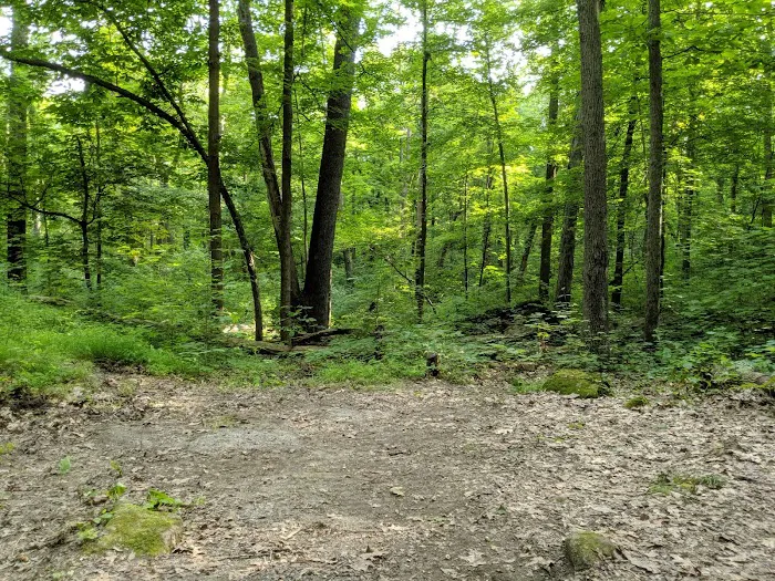 Jenny Jump State Park Camping Picture 6