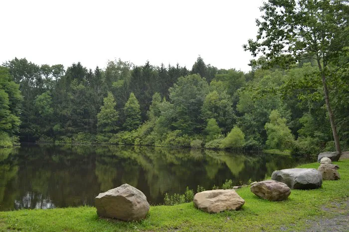 Cranberry Run Campground Picture 2