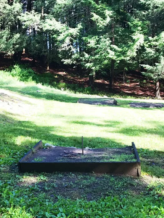 Cranberry Run Campground Picture 6