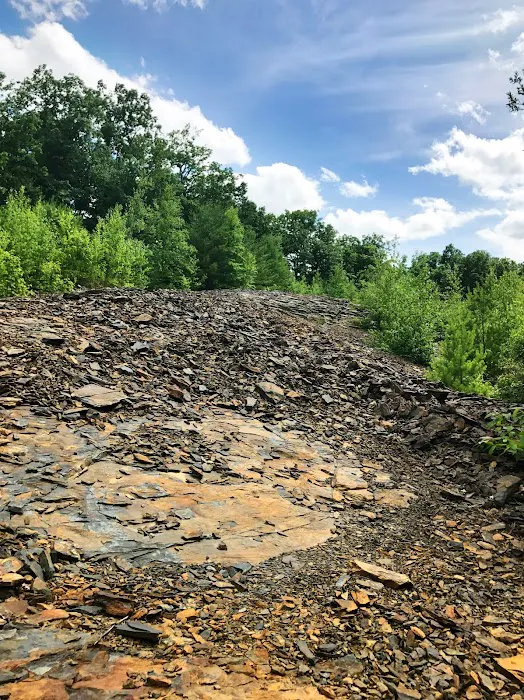 Cranberry Run Campground Picture 3