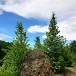 Cranberry Run Campground