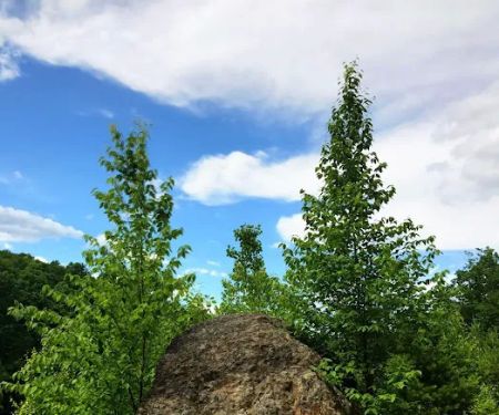 Cranberry Run Campground