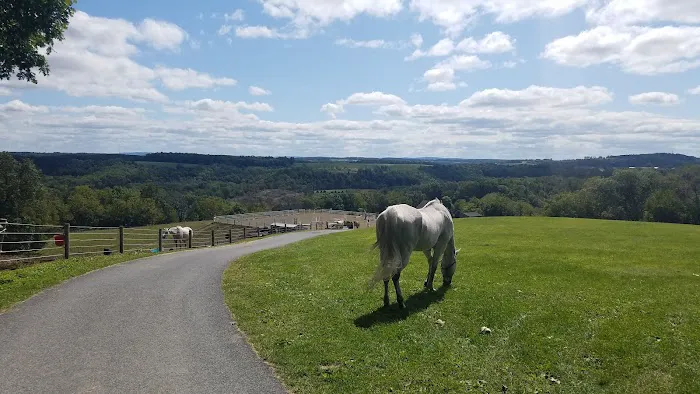 PA Camping, The Pennsylvania Campground Owners Association Picture 4