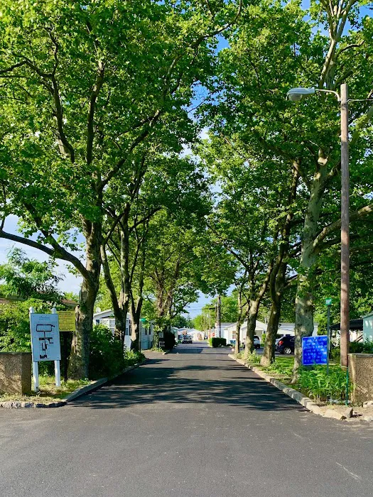 Brookside Mobile Estates Picture 10