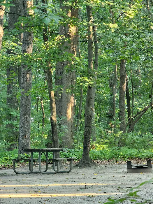 Family Camping Area Picture 4
