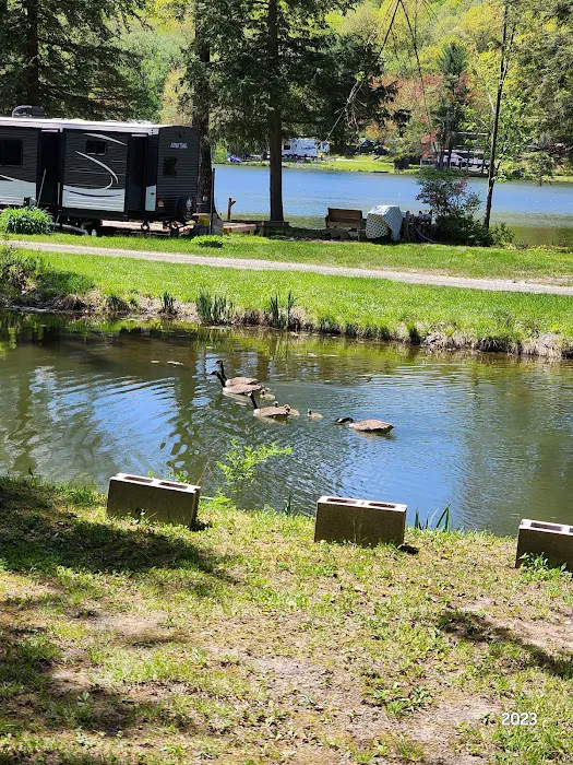 Forest Lake Campground Picture 8