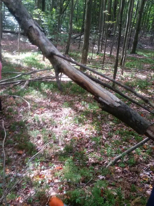 Camp Oswego Picture 8