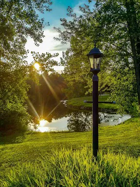 Red Rock Ponds RV Resort Picture 3