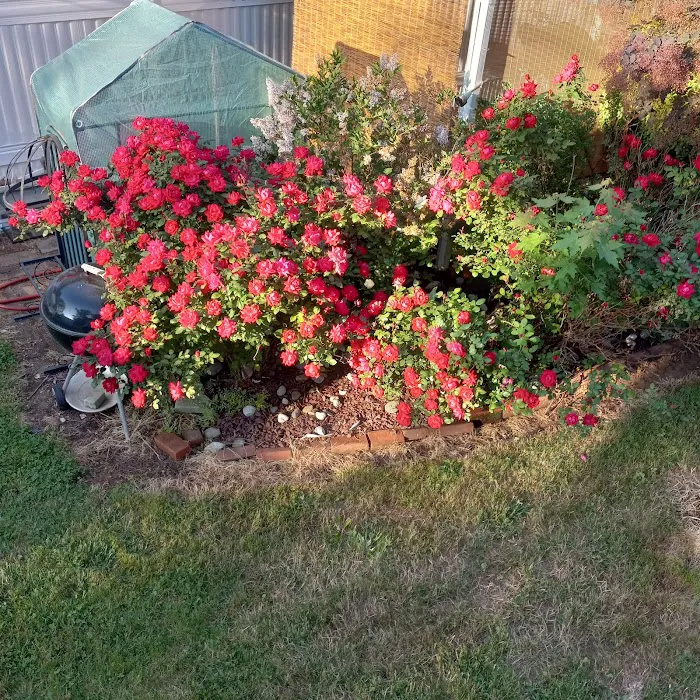 Friendly Mobile Park Picture 4
