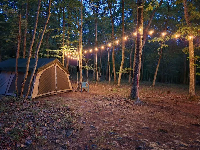 Camp Cruser Picture 8
