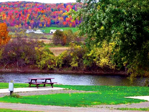 Tall Pines Campground & River Adventures Picture 3