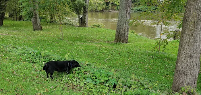 Riverside RV Campground Picture 4