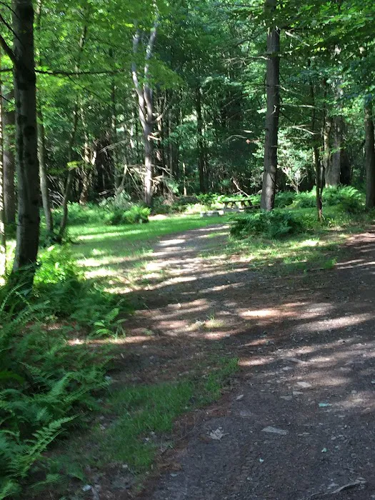 Valley View Walking Trails Picture 3