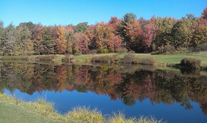 Kellystone Park Campground Picture 8
