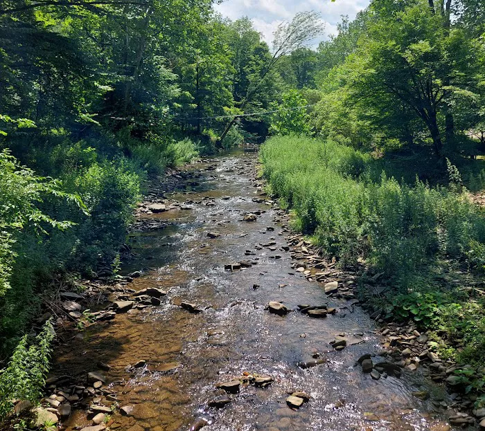 Pleasant Valley Campground Picture 6
