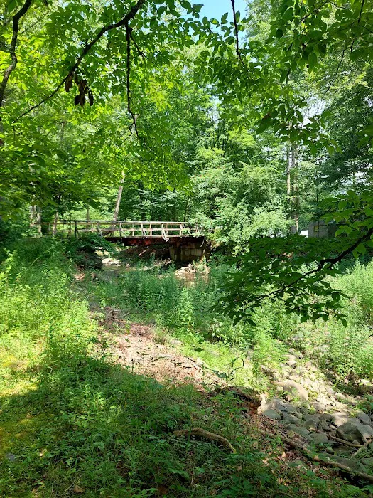 Pleasant Valley Campground Picture 7