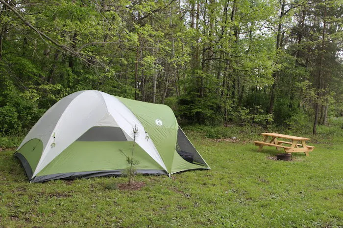 Waterloo / Finger Lakes KOA Holiday Picture 6